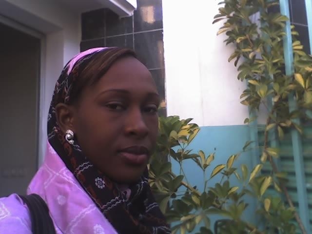 Gorillas In The Mist